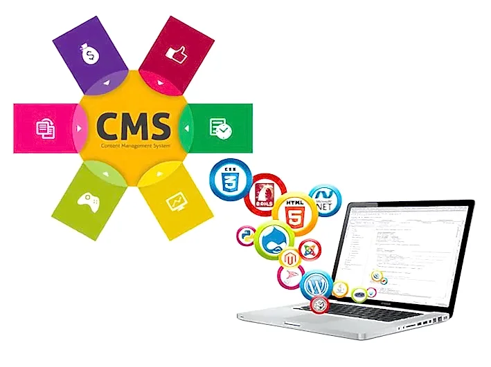 Mersin CMS Web Tasarım