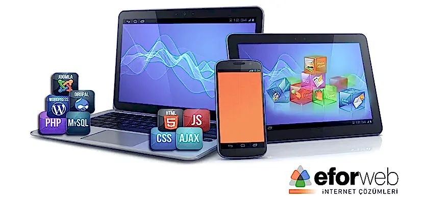 Mersin Web Tasarım ve SEO Hizmetleri 1 Mersin Web Tasarım